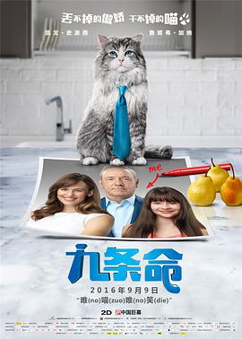 国产在线精品观看一区