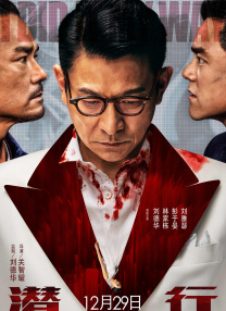 精品久久久久久中文字幕